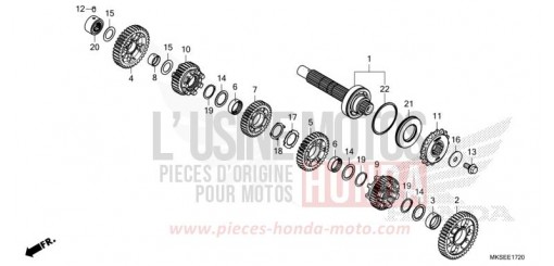 GETRIEBE (GEGENWELLE) (DCT) CRF1100D4M de 2021